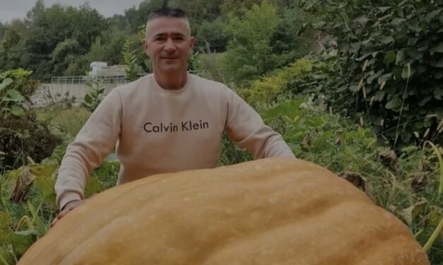 Busovača-Josip Subašić iz Busovače postavio je novi rekord u Bosni i Hercegovini uzgojivši bundevu tešku nevjerojatnih 310 kilograma! Ovaj impresivni plod sorte Atlantic Giant predstavljen je javnosti u sklopu manifestacije Dani kruha i plodova zemlje, izazvavši oduševljenje i divljenje brojnih posjetitelja.