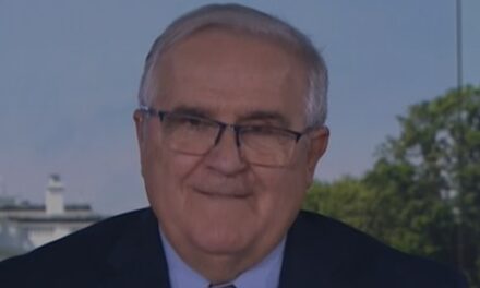 VIDEO PULJIĆ: U Bijeloj kući je dokument o tri entiteta, Zapad je prokužio Komšićevu igru