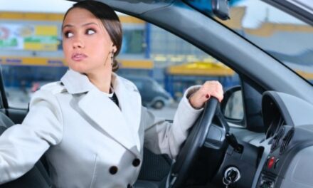 Ovo je jedina zemlja u Europi u kojoj niste dužni vezati pojas