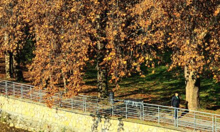 I danas sunčano vrijeme uz temperature do 20 stupnjeva