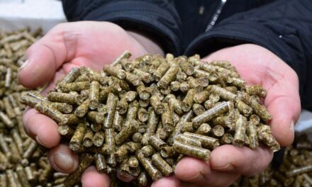 Trgovci ne poštuju propisane cijene peleta, kazne i do 30.000 maraka