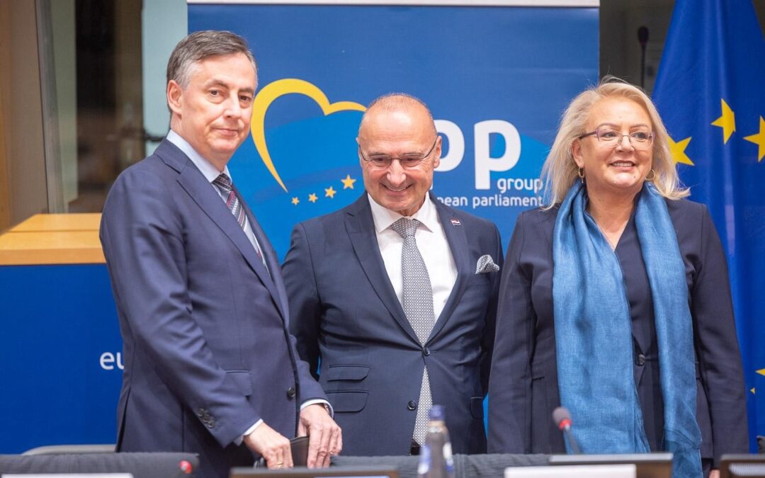 Predsjednica Bradara i zastupnica Zovko u Europskom parlamentu: ‘Dayton je donio mir, vrijeme je za iskorak – Europska unija je prirodan dom Bosne i Hercegovine’