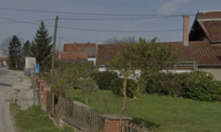 Žena kod Velike Gorice ubila muža