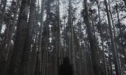 Vujević otvara srce u novom singlu “Torn Apart” – glazbeni portret ljubavi i gubitka