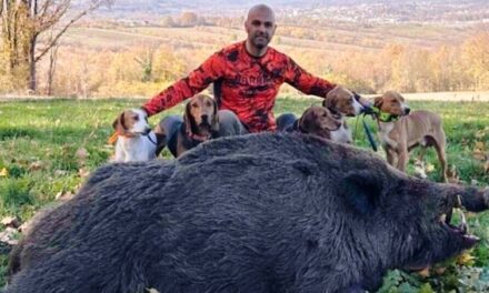 Lovac odstrijelio vepra – kapitalca teškog čak 224 kilograma
