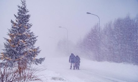 Snježna oluja zahvatila europsku zemlju, 40.000 kućanstava bez struje