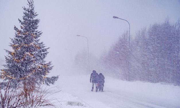 Snježna oluja zahvatila europsku zemlju, 40.000 kućanstava bez struje