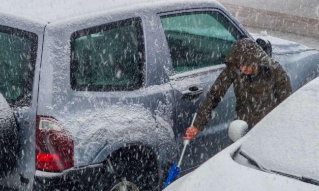 NE PUTUJTE AKO NE MORATE! Obustavljen promet, snijeg stvorio problem i na granici s RH, stabla na cesti…