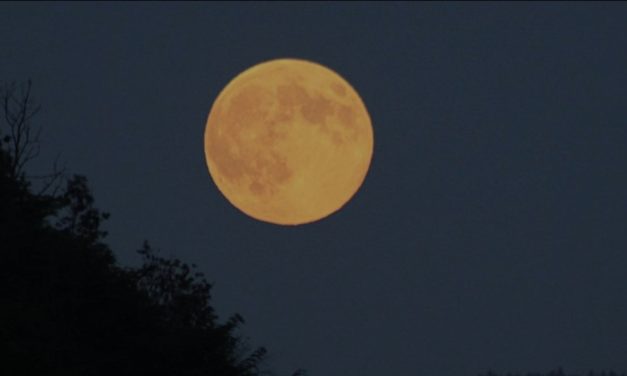 NE PROPUSTITE NEBESKI SPEKTAKL Stiže nam Supermjesec, čak triput sjajniji i mnogo od običnoga