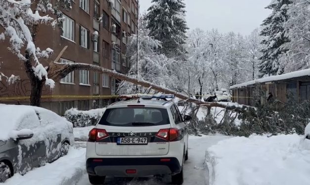Preminula žena na koju je jutros palo stablo na Grbavici u Sarajevu