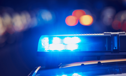 Uhapšen državljanin BiH zbog nedozvoljenih spolnih radnji nad dječakom