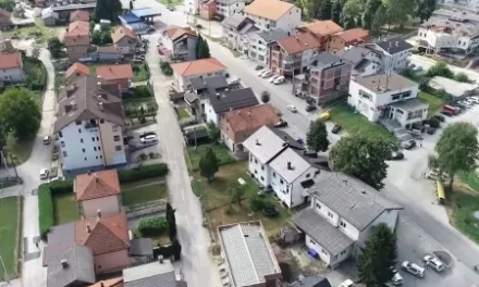 Afrička svinjska kuga potvrđena u Busovači: Leševi ugrozili vodotokove