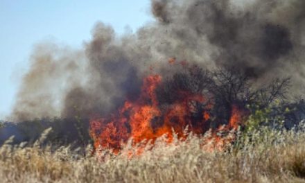 Obavijest građanima – zabranjeno paljenje vatre u blizini šumskih površina, stambenih naselja, vodova dalekovoda i drugih objekata
