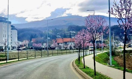 Danas je prvi dan proljeća! Evo zašto više nije 21. ožujka