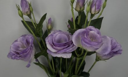 “Skromniji” Dan žena u BiH: Cijene cvijeća ruše rekorde, a donosimo i zašto!