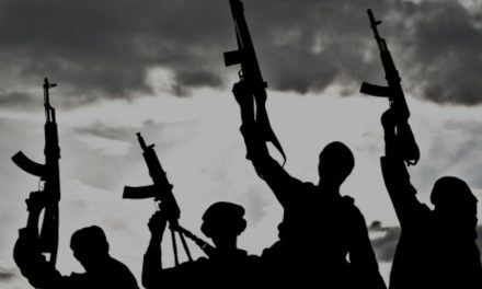 BiH će pojačati kontrolu čak 27.000 nevladinih organizacija! Razlog: TERORIZAM!