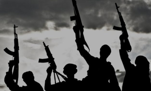 BiH će pojačati kontrolu čak 27.000 nevladinih organizacija! Razlog: TERORIZAM!