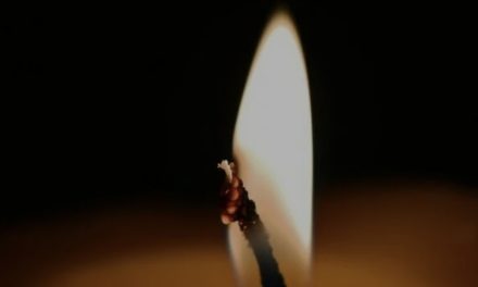 Strava na ulici: Hicem u glavu ubijen vlasnik nogometnog kluba