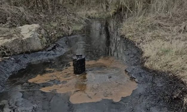 Nevjerojatno otkriće u BiH: Na privatnom imanju nafta izvire iz zemlje već 30 godina!