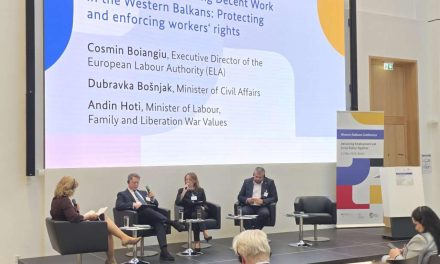 Bošnjak u Berlinu: Siva ekonomija i rad na crno slabe položaj radnika u BiH