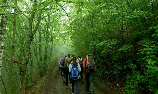 NAJAVA: TRADICIONALNO PJEŠAČENJE NA KAŠTELA – ZAHOR (MISNO SLAVLJE)