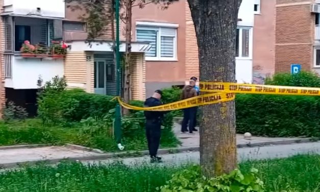 Tragedija u Sarajevu: Ubijena novinarka Elma Godinjak, ranjen njen brat
