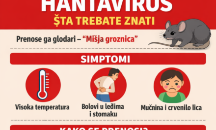 Zavod za javno zdravstvo upozorava –  Sve što trebate znati o hantavirusu: Simptomi, prijenos i ključni savjeti za zaštitu