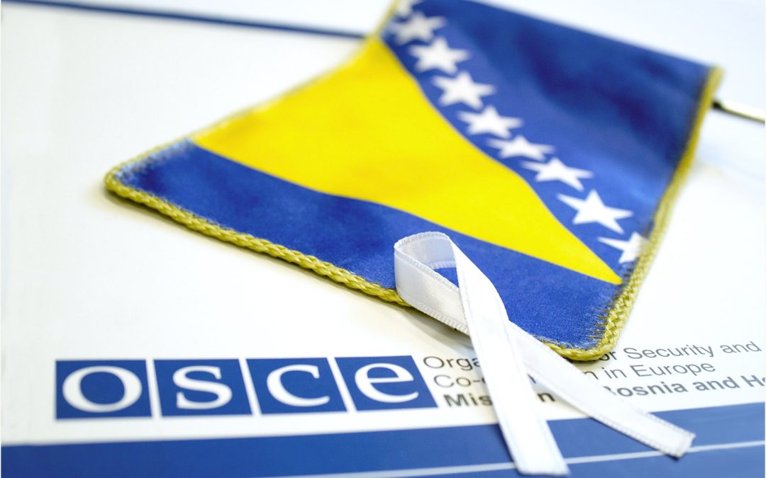 OSS: Nasilje nad ženama nastavlja predstavljati prijetnju sigurnosti i ljudskim pravima širom BiH