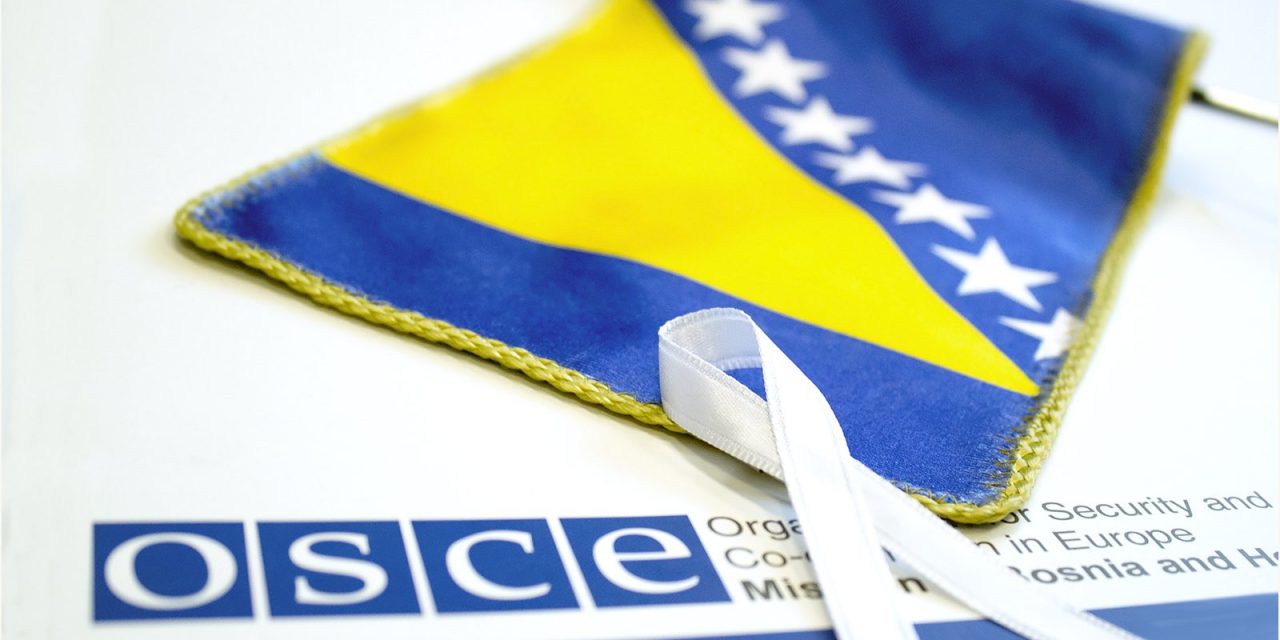 OSS: Nasilje nad ženama nastavlja predstavljati prijetnju sigurnosti i ljudskim pravima širom BiH