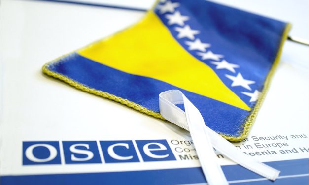 OSS: Nasilje nad ženama nastavlja predstavljati prijetnju sigurnosti i ljudskim pravima širom BiH
