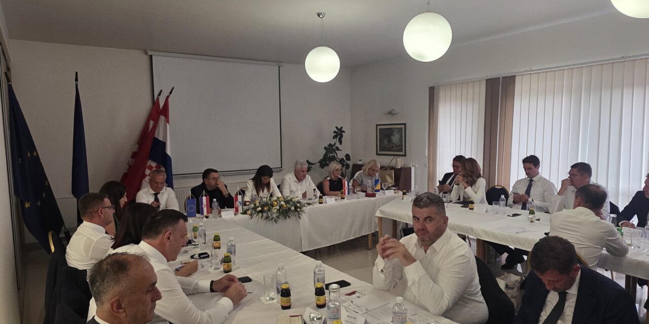 Zajedničko djelovanje lokalnih, županijskih i viših razina za potrebe hrvatskih sredina