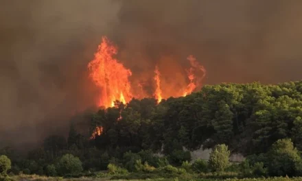 Važna obavijest Civilne zaštite: Upute za postupanje u slučaju požara i trenutno stanje u Kiseljaku