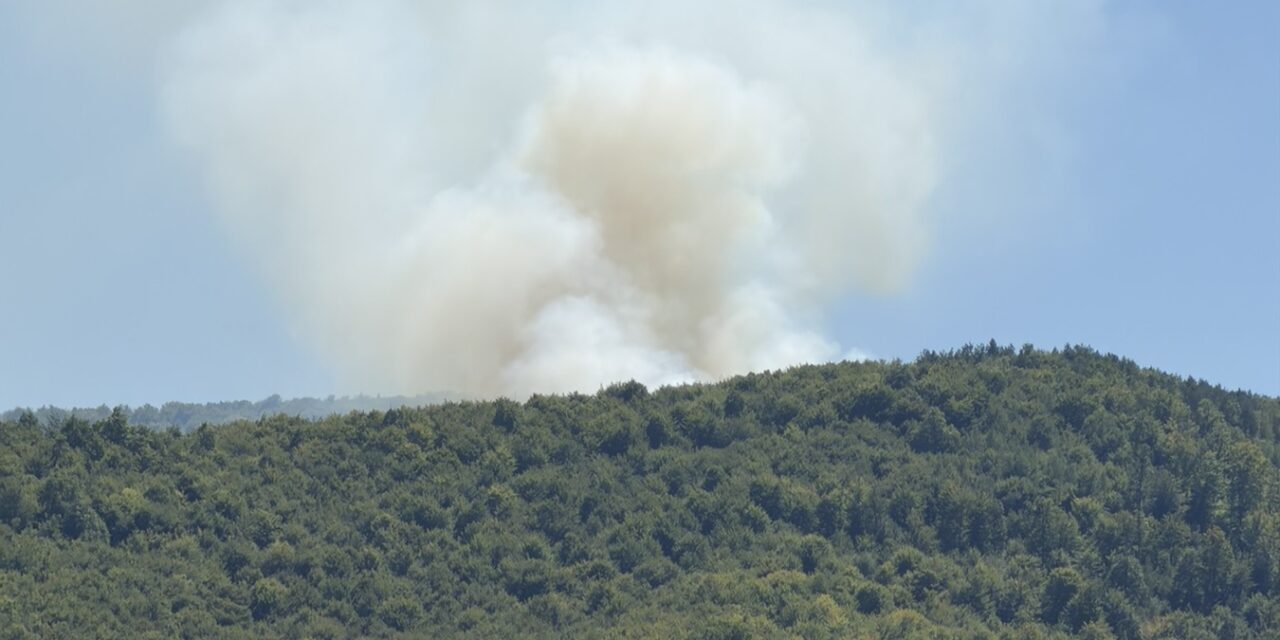 Nulta stopa tolerancije za prekršitelje: Stroga zabrana paljenja vatre na području Općine Kiseljak!