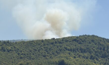 Nulta stopa tolerancije za prekršitelje: Stroga zabrana paljenja vatre na području Općine Kiseljak!