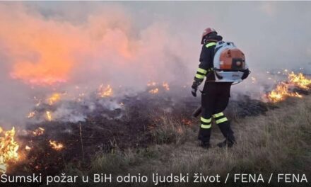 Šumski požar u BiH odnio ljudski život: Muškarac stradao tijekom gašenja u Tešnju
